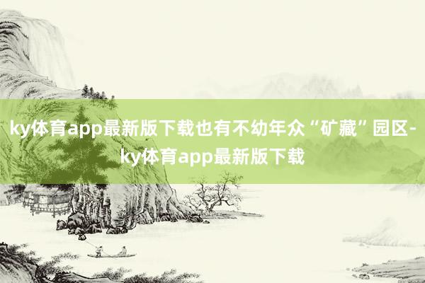 ky體育app最新版下載也有不幼年眾“礦藏”園區(qū)-ky體育app最新版下載