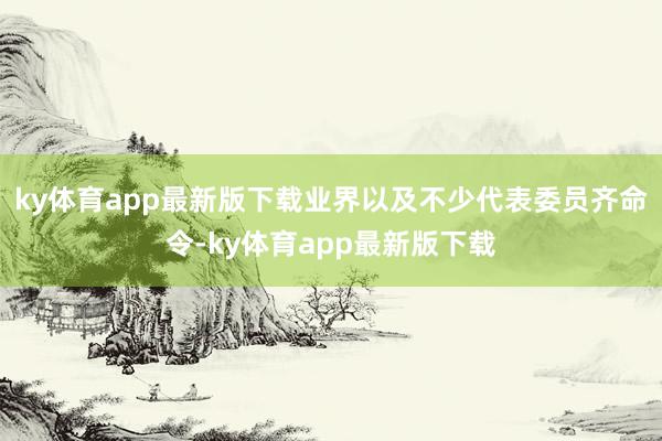 ky體育app最新版下載業(yè)界以及不少代表委員齊命令-ky體育app最新版下載